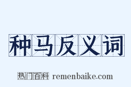 种马反义词是什么意思的图片